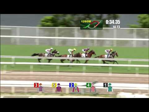 2017 Premier Plate International Group 3 1800m