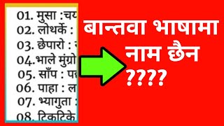 Names Of Small Animals In Bantawa Rai Language||बन्तावा भासामा साना साना प्राणीको नामहरु