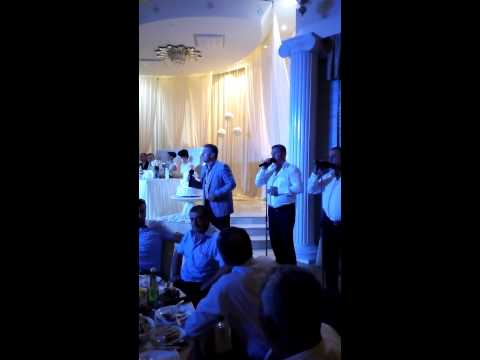 baiar shahin vs jgufi georgia