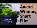 Award Winning Short Film SPRING WATER By VIRAL VIDEOS