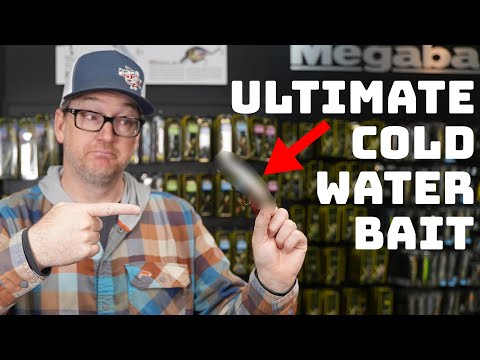 This Is The Ultimate Cold Water Technique To Catch Big Bass All Winter Long!