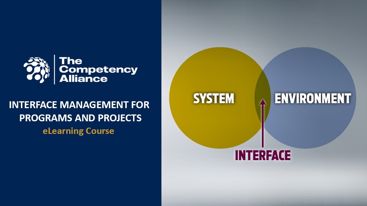 Interface Management for Programs and Projects