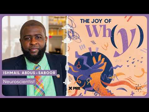 Video thumbnail: How Does Touch Lead To Pain Or Pleasure? | PODCAST: The Joy of Why