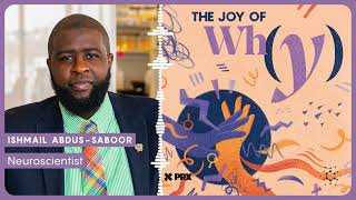 Thumbnail for How Does Touch Lead To Pain Or Pleasure? | PODCAST: The Joy of Why
