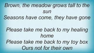 Soundgarden - Toy Box Lyrics