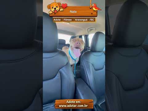 Vídeo de Nala