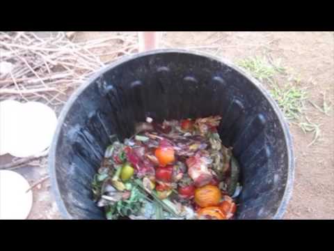 How to Reduce Food Waste and Compost at Home