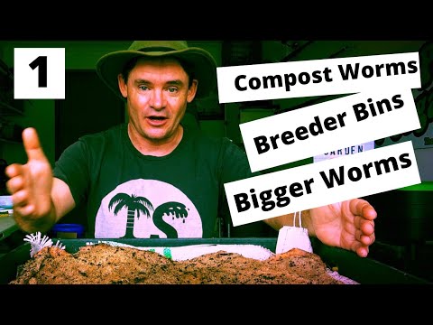 Compost Worm Breeder Bins Larger Worms With Less Numbers