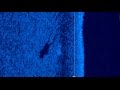 Поиск утонувшего человека с помощью эхолота Поиск утонувшего человека с помощью эхолота