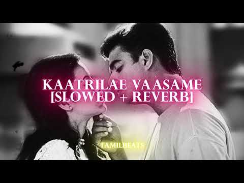 Kaatrilae Vaasame - [Slowed & Reverb] - Tamil Beats #shankarmahadevan  #lofimusic #slowedandreverb