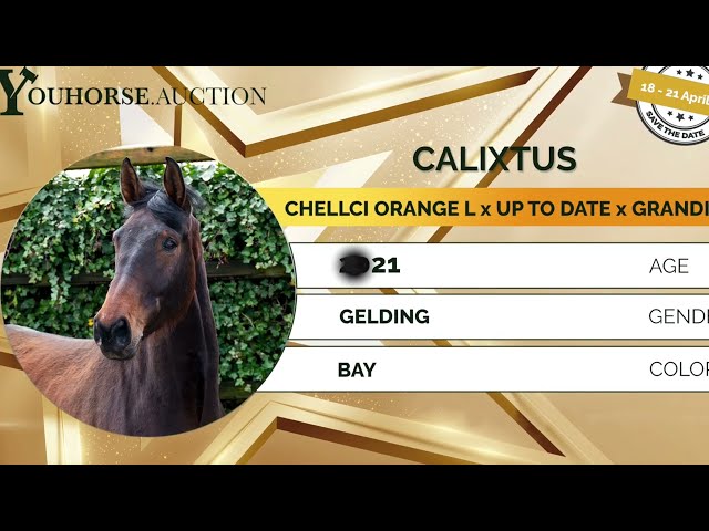 Calixtus