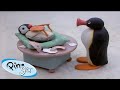 Pinga is Born 🐧 | Pingu - Official Channel | Cartoons For Kids