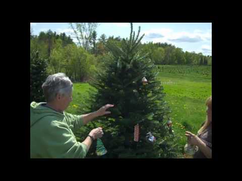 Traditional/Victorian Canon