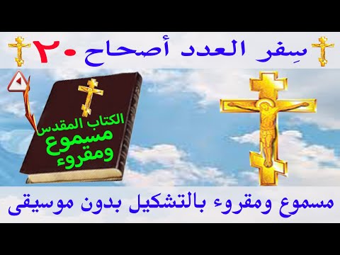 العدد 20