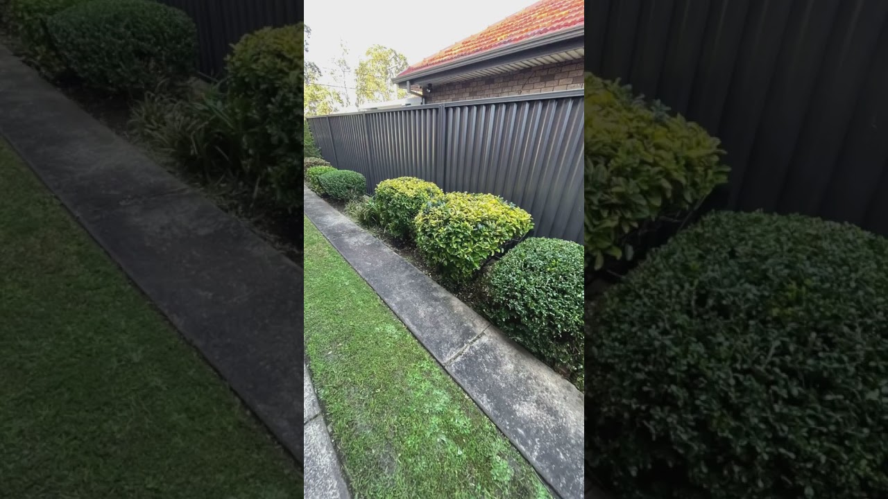 From an overgrown mess to a pristine oasis, this Before and After story will leave you in awe. 🌱✂️