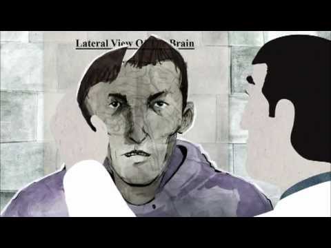 Thumbnail of the video: Animation | Biography | Drama: The Path to Beyond (2011) Crulic (original title) Director: A.Damian