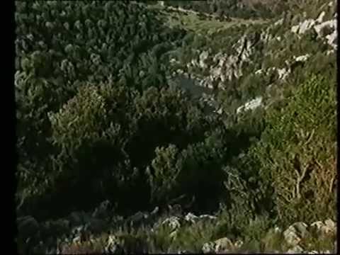 CINEMA SARDEGNA    Disamistade con Maria Carta di Gianfranco Cabiddu 1988 ON3SvjIn458