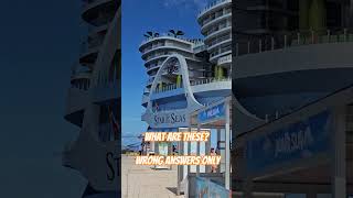 Think you know the names of these?  Post wrong answers only!  #cruiseship #travel #cruise #shorts
