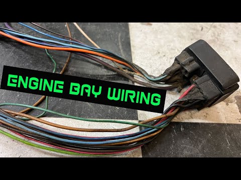 HOW TO LS SWAP YOUR CAR (PART8) CLEANING UP ENGINE BAY WIRING!