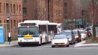 MTA New York City Bus: 2003 New Flyer D60HF Articulated #5731 on the Bx22 Bus.