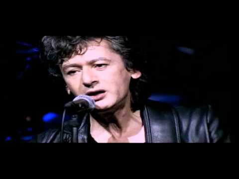 Alain Bashung - Les grands voyageurs