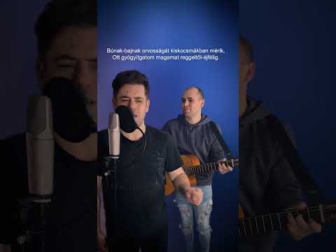 Jegenyefák nem nőnek az égig! #igyunkegyet #nóta #magyar #mezőfiúk #akusztikus