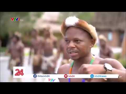 Ithwasa lekhansela- lento isegazini (fan video)