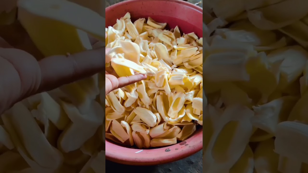 have you ever tried jackfruit chips? better than potato chips  #village #jackfruit #chips