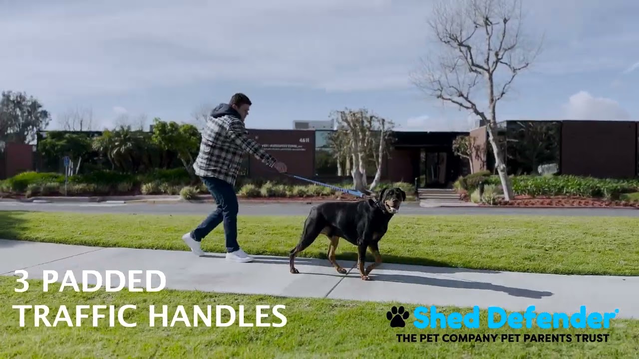 Shed Defender Bungee Leash product demo