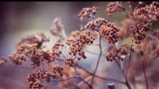 L'atessa - Andrea Bocelli