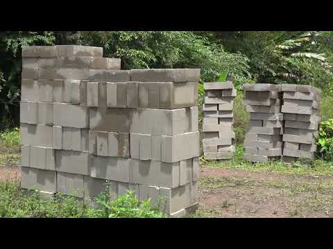 Natasha Bruining. Update 1, Sunday, March 6, 2022