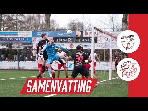 Barendrecht - IJsselmeer birds (season 25/26)