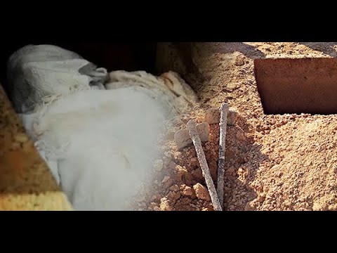 Šta se dešava u kaburu