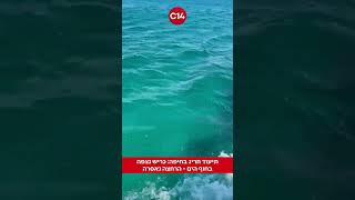 תיעוד חריג בחיפה: כריש נצפה בחוף הים - הרחצה נאסרה (חדשות ערוץ 14) - התמונה מוצגת ישירות מתוך אתר האינטרנט יוטיוב. זכויות היוצרים בתמונה שייכות ליוצרה. קישור קרדיט למקור התוכן נמצא בתוך דף הסרטון