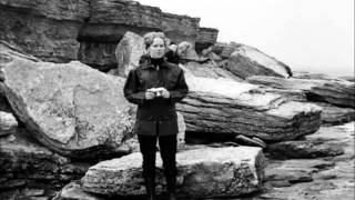 The Apartments - All The Birthdays