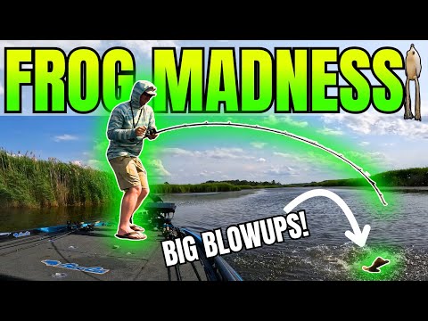 Bass DESTROY My Frog — Insane Topwater Strikes!