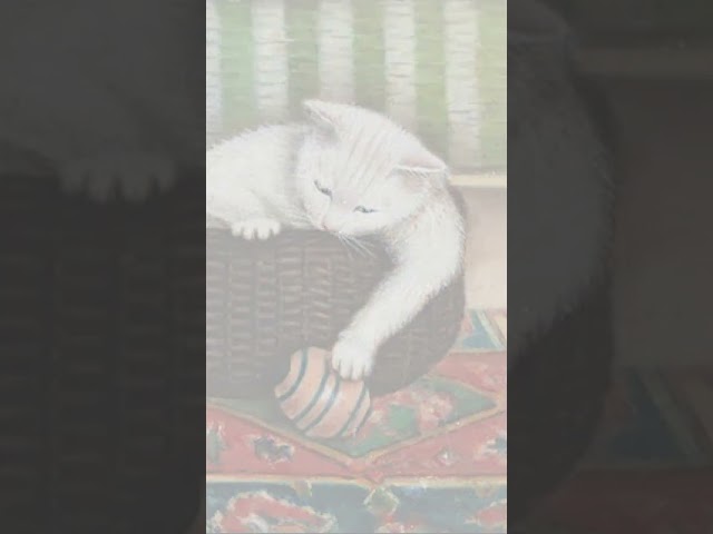 Vídeo relacionado con El Paraíso De Los Gatos Y Otros Cuentos Gatunos - 3ª Edición (Ilustrados)