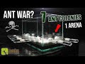 7 ANT COLONIES In 1 ARENA ANT WAR Or JOIN FORCES