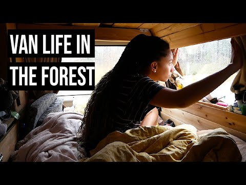 A Day in the Forest | Van Life in the South