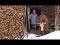 Hayvancılıkla Uğraşan Ailenin Kış Yaşamı - Belgesel