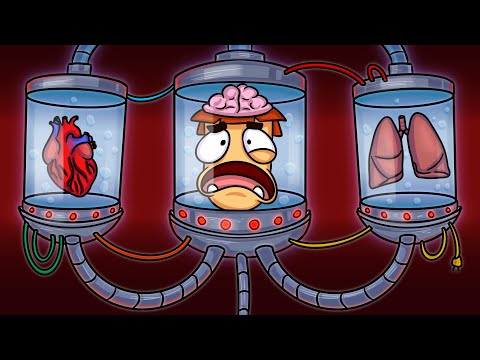 Anatomy Park Revealed: Exploring the Hidden Marvels of the Body!