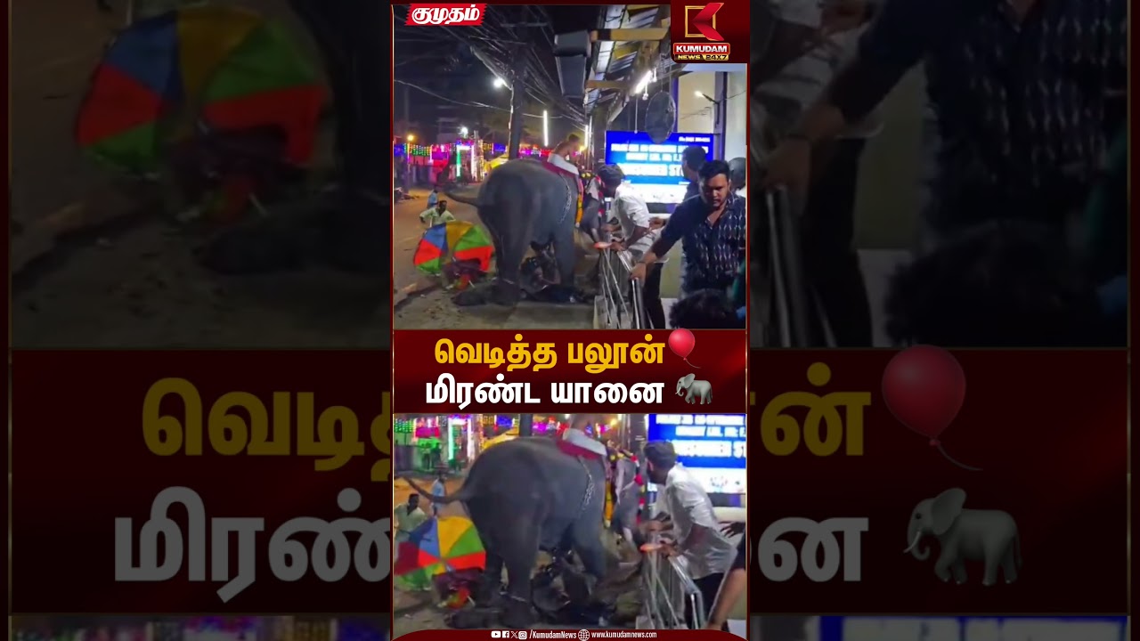 கோயில் திருவிழாவில் பலூன் வெடித்ததால் மிரண்ட யானை | Kerala Elephant | Kumudam News