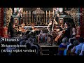 Strauss: Metamorphosen (septet) / Gabetta, Smirnov, Chang, Mönkemeyer, Ridout, Laferrière, M. Botana - Hochrhein Musikfestival Productions Strauss: Metamorphosen (septet) / Gabetta, Smirnov, Chang, Mönkemeyer, Ridout, Laferrière, M. Botana