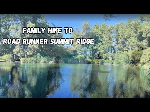 Short Family Hike To Roadrunner Summit Ridge| Saw Lots of Turtles!!!!!