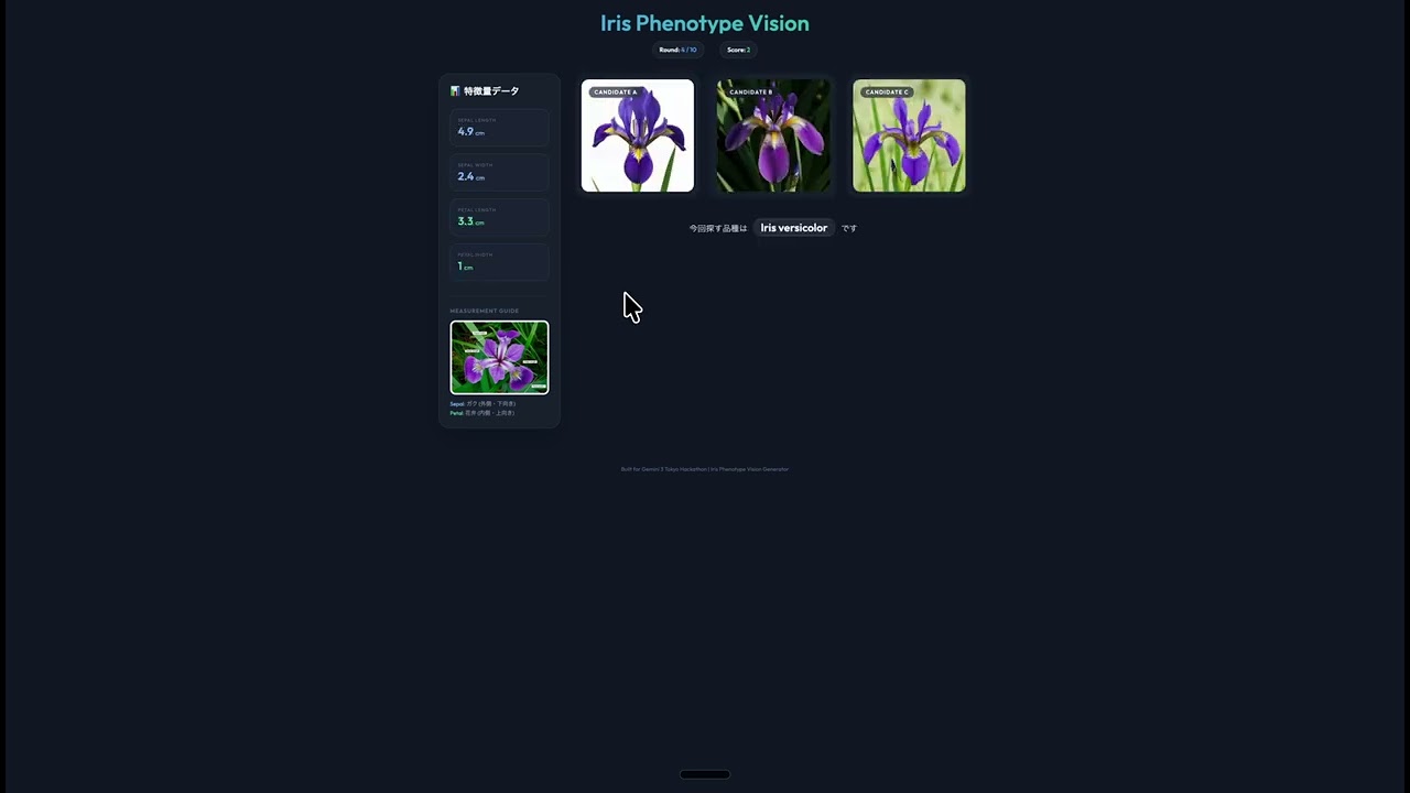 Zoltraak project preview