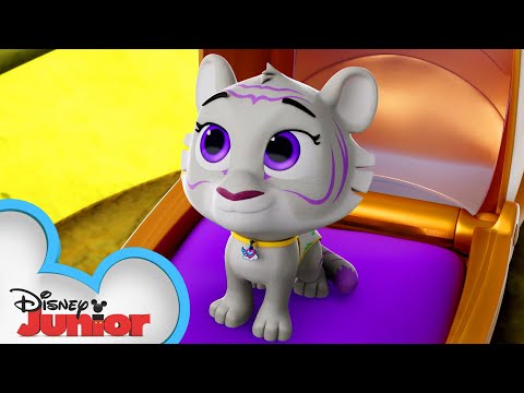 Adventures In Tigersitting | T.O.T.S. | @disneyjr