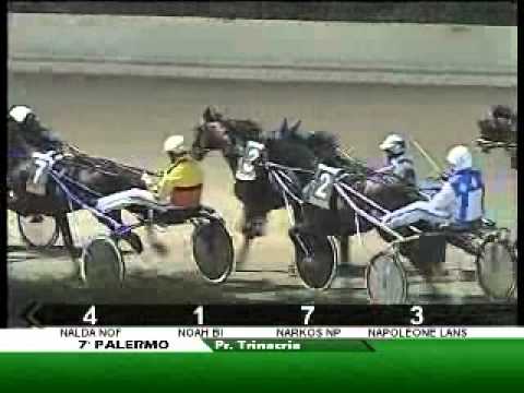 G.P. TRINACRIA 12 NOVEMBRE 2011