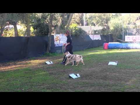 Gara Rally O CSEN - RED - GE - 22.11.2014