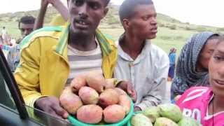 preview picture of video 'Buying cactus fruit while on the road - what a mess!'