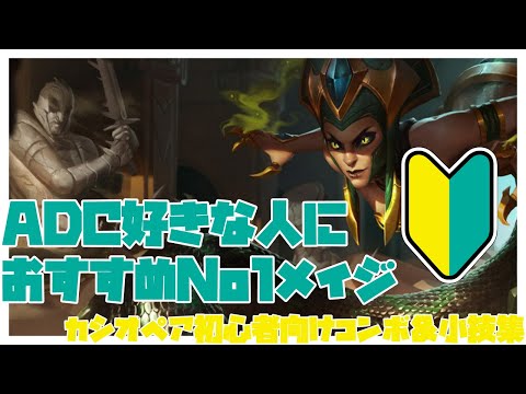 3 カシオペアについて詳しく解説